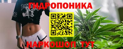тгк Краснодар
