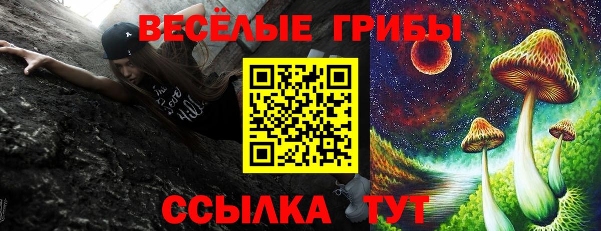 Галлюциногенные грибы MAGIC MUSHROOMS Избербаш